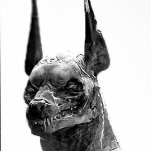 xXx_САМ_по_СЕБЕ